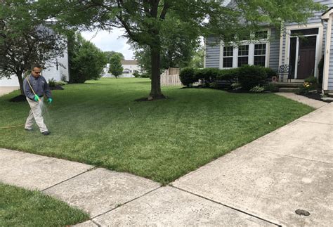 lawn care norwood oh  independent provider